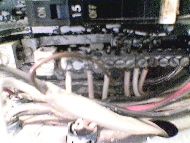 [Linked Image]